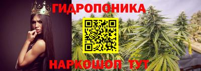 PSILOCYBIN Абинск