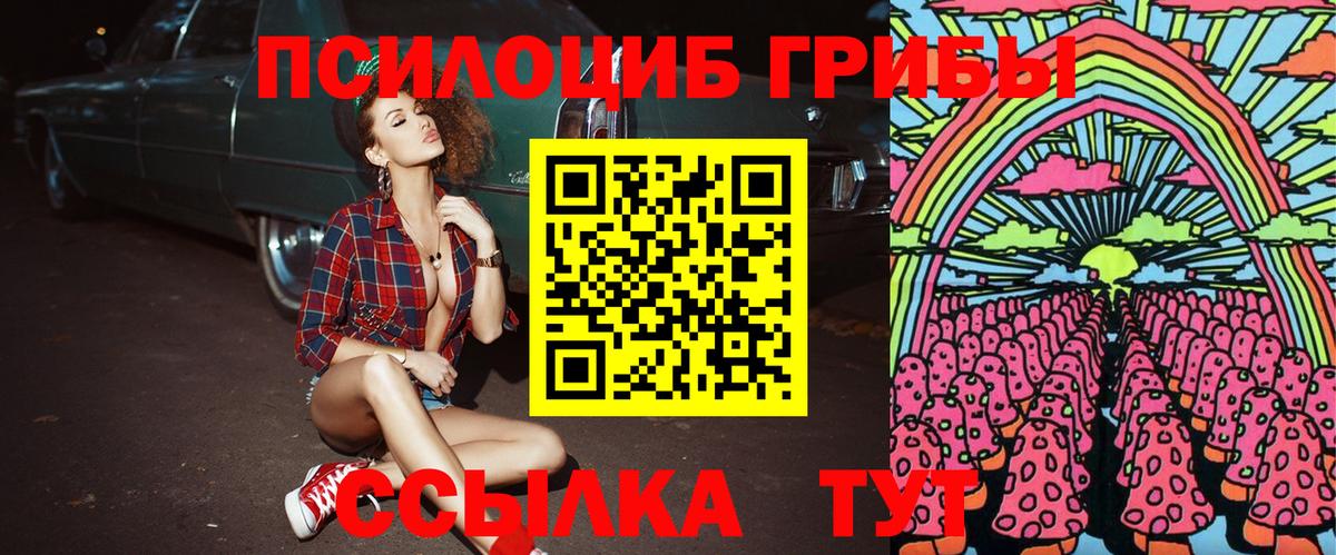 Алексеевка  Псилоцибиновые грибы прущие грибы  Вход с VPN 