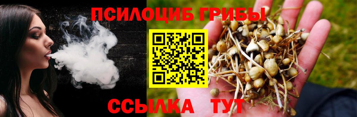 Псилоцибиновые грибы ЛСД Алексеевка